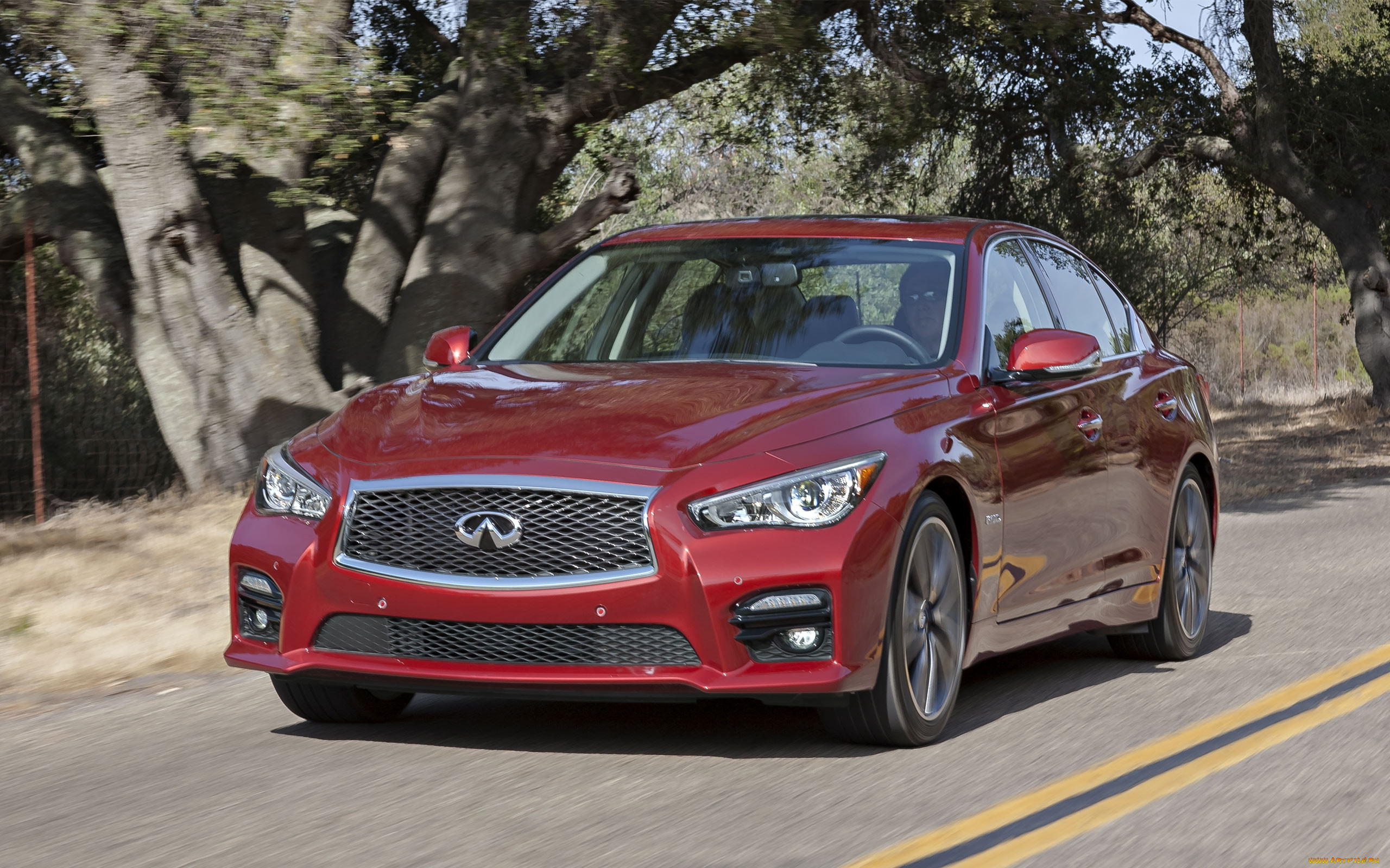 infiniti, q50, , nissan, motor, -, 